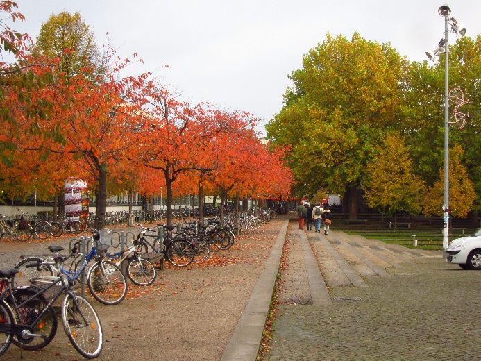 foto_univ_goettingen2.jpg